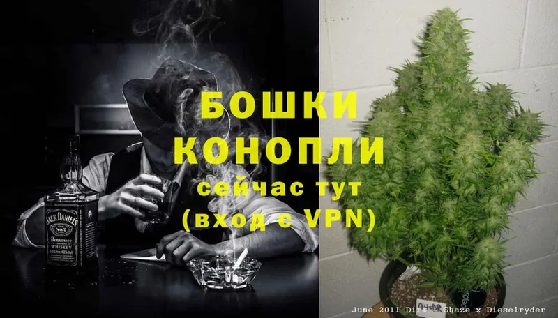 Конопля Ganja  Няндома 